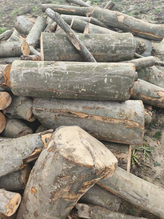 Aduc lemne pe comanda