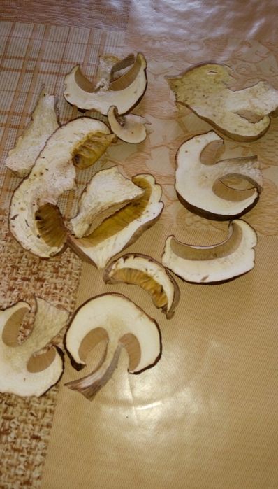 Суха манатарка и манатарка на прах, булка, челадинка, пачи крак