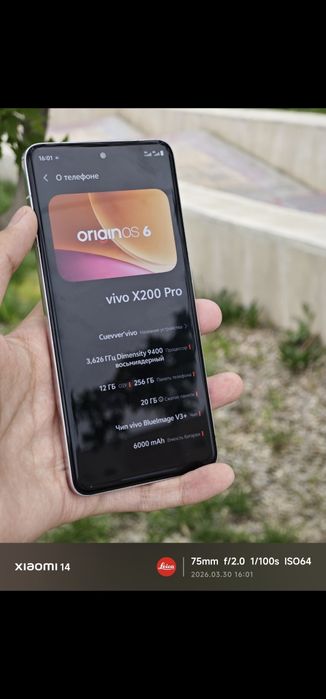 Vivo X200 pro 256