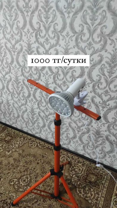 Фотолампа от желтушки 1000т !