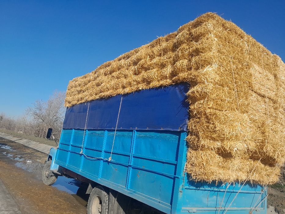 Gaz 3309 sotiladi.yili 1983- yil holati zo‘r ishlab yuribdi