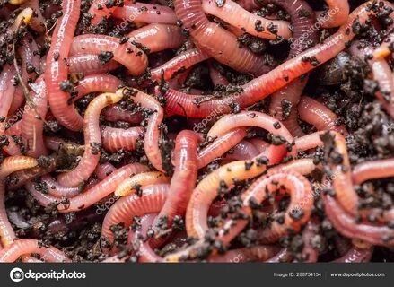 Чувалчанг сотилади 10яшик 500000сум