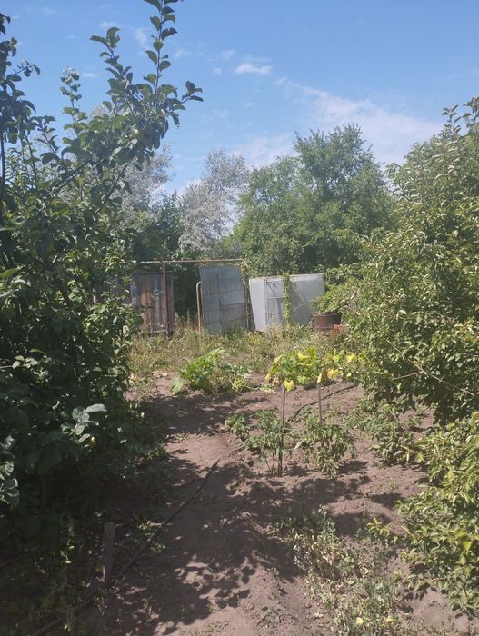 Продам дачу садоводство мелиаратор звоните пишите ватцапе