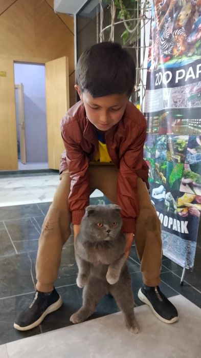 Mushuk bolalari otasi onasi seri