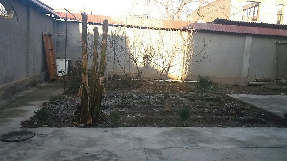 Дом, М.Улугбекский р-н, IT-Park