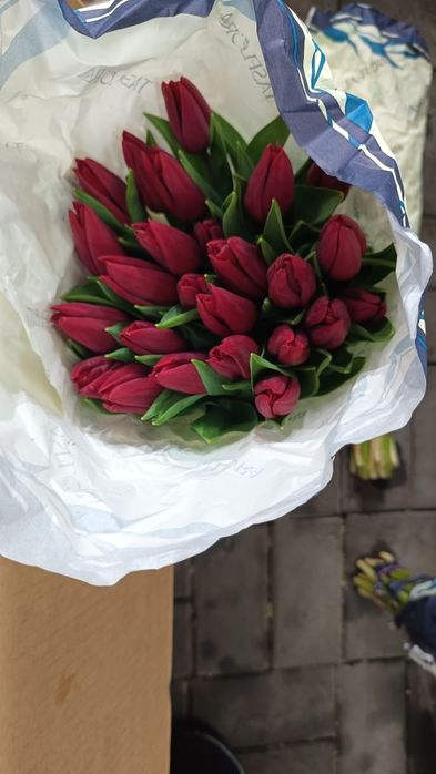 Тюльпаны свежие 25шт банч