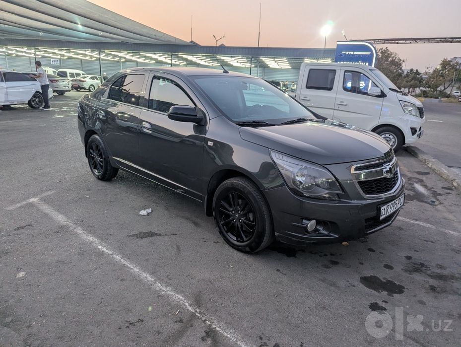 Cobalt Midnight 2025