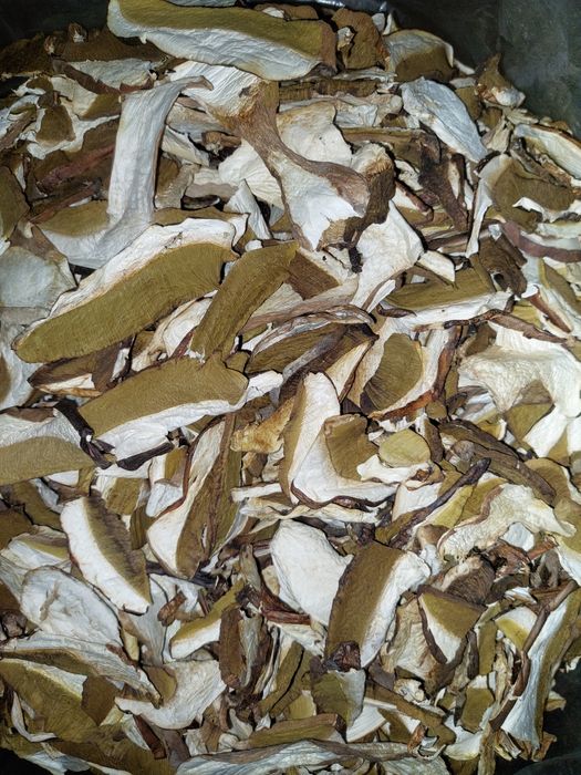 Hribi Uscati  cal.1 extra/kg