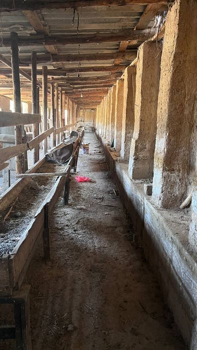 Срочно арендага берилади Мол бокишга мослашган