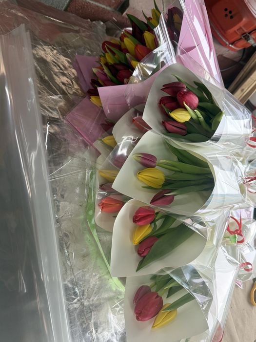 Тюльпаны к 8 марта !