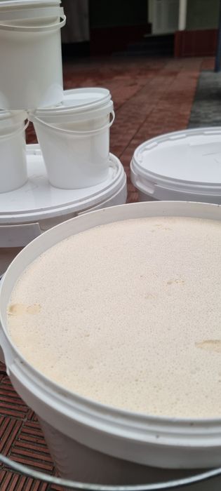 Табиий асал камёб оқ асалдан