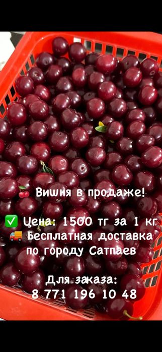 Продам вишню... .