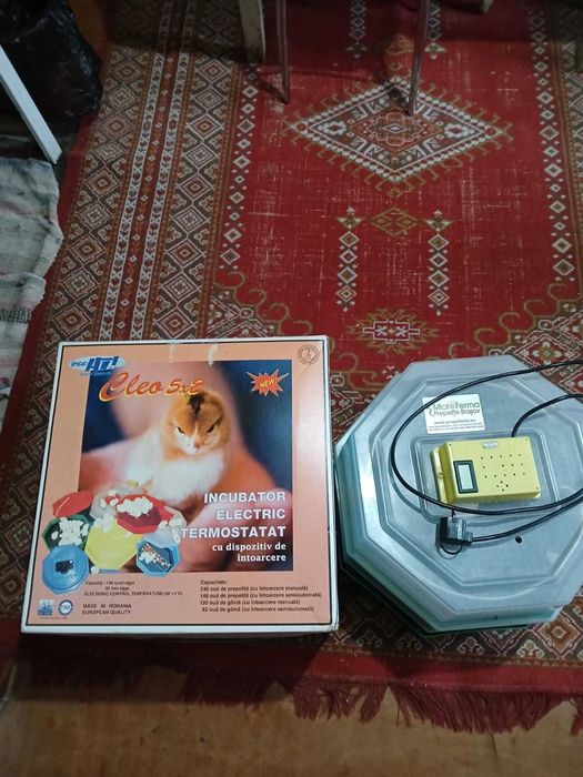 Incubator electric termostatat