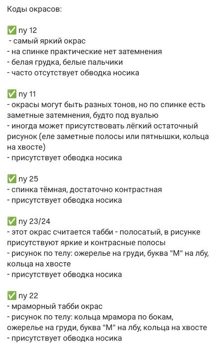 Алиментный котёнок