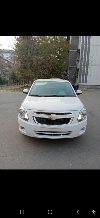 Cobalit 2025 sitail packa salon holata yangi 650km yurgan holos k