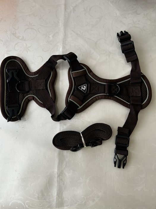 Шлейка с поводок