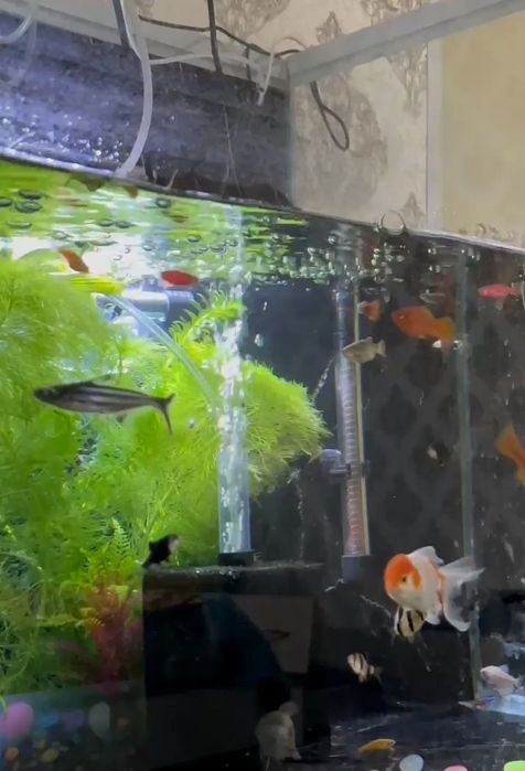 Акварим 250литр комплекте все