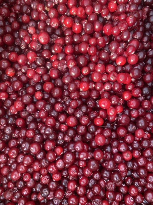 Ягода замороженная