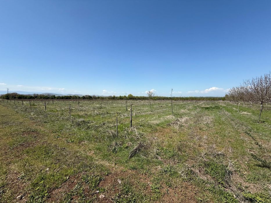 Продава се Земеделски имот в Перущица -  кв.м за 2307 €/дка - Снимка #7