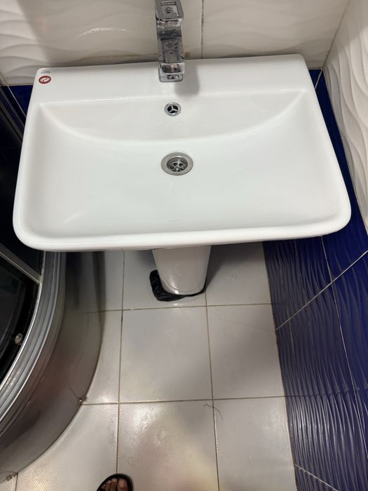 Раковина иранская