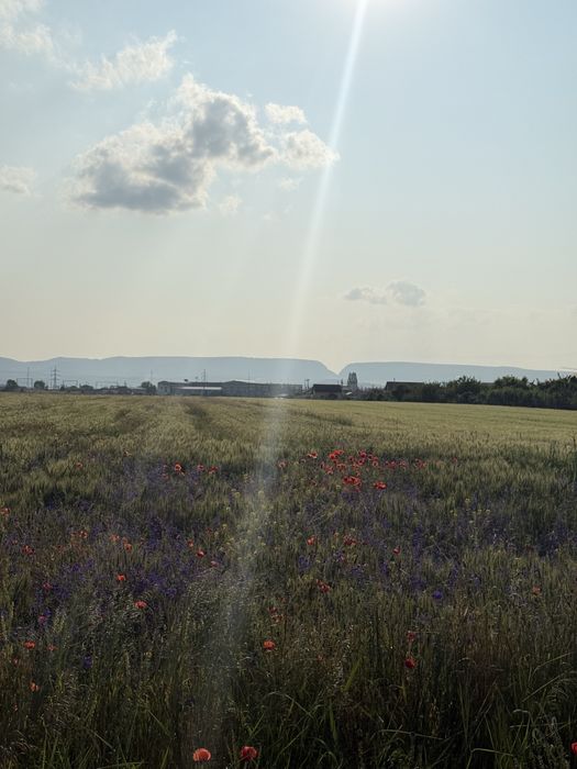Terenuri intravilane cu panoramă spre Cheile Turzii | Construibil P+2