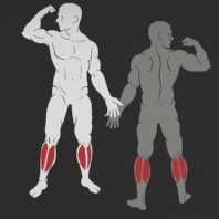 Калф Машина за Прасец – Calf Raise IF9316 / Фитнес Уред