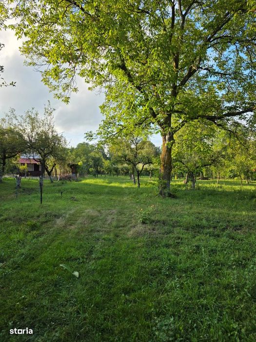 Teren 2500 Mp – Potențial Business / Dezvoltare – Breaza