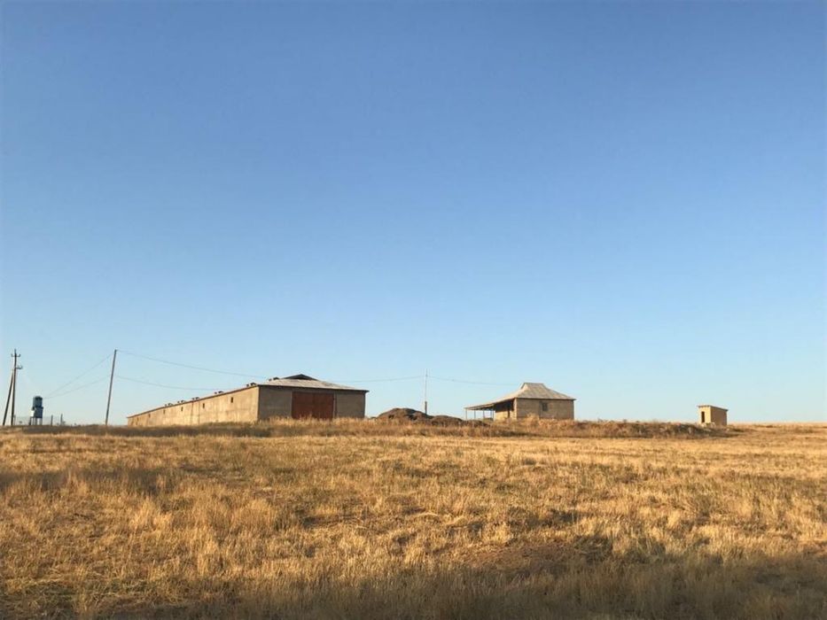 Продается ферма 6,95 га, қора 1350 м2, су, электр бар