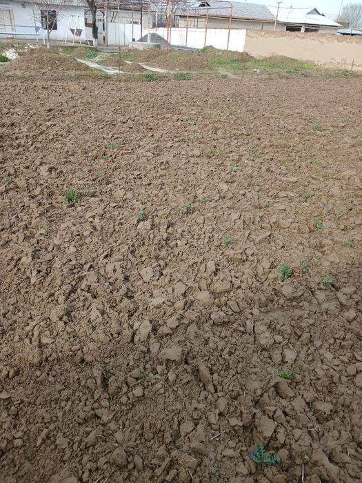 4 sotix yer yangiyol