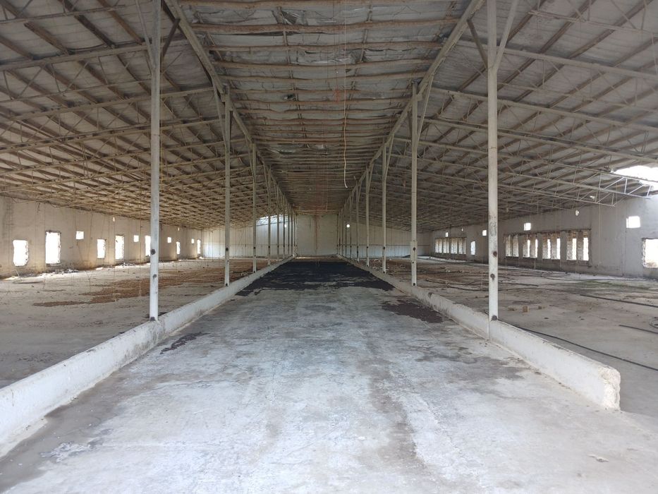 Выкуп. Срочно. 12 ГА территории