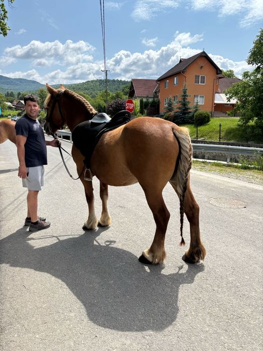 Iapa de 4 ani în 26 septembrie