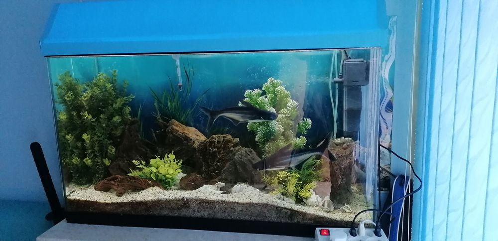 Аквариум оборудване