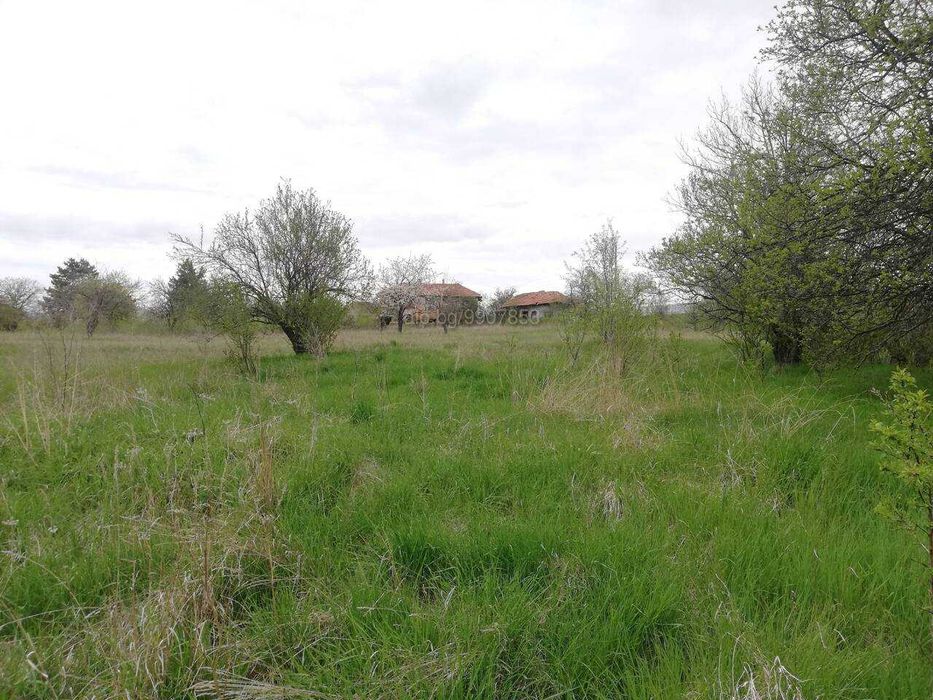 Продава се Парцел в с. Кошарево, Област Перник - 5250 кв.м за 13 €/кв.м - Снимка #2