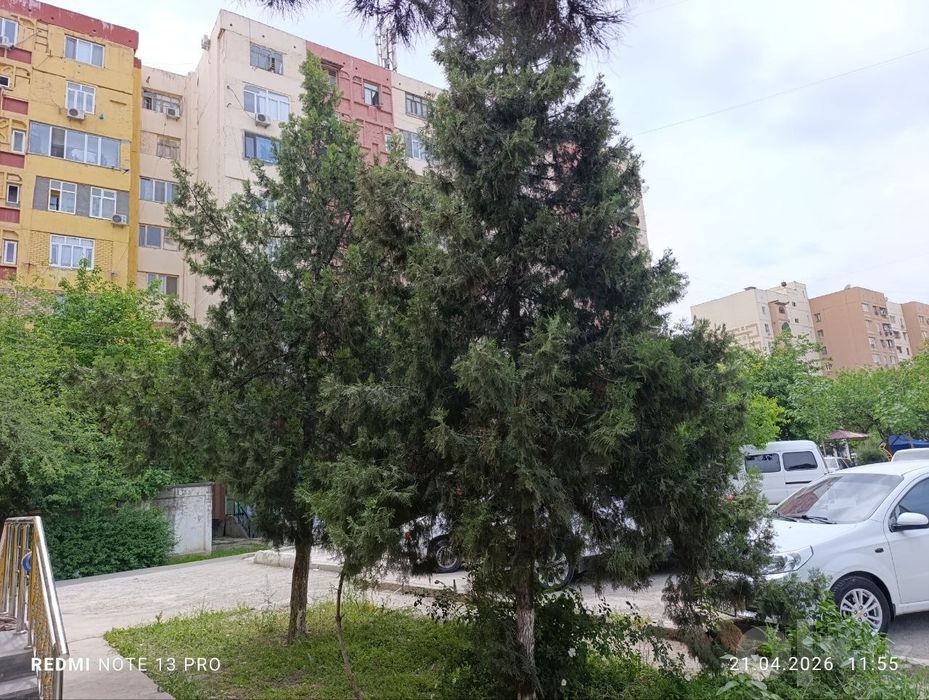 Аренда 50м² Строитель Сергели