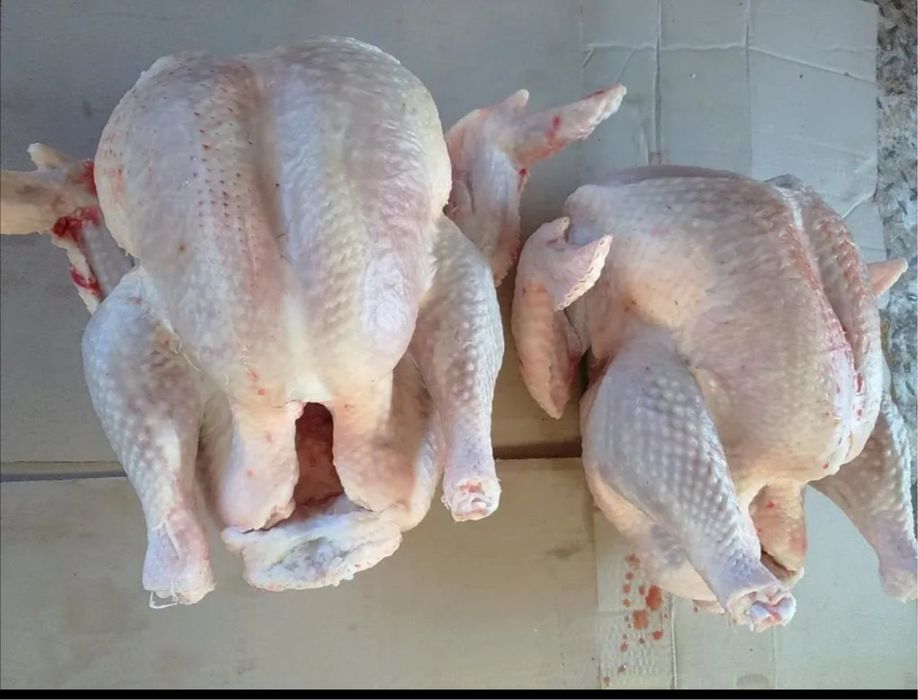 Мясо индейки, индейка тушка (домашняя с деревни