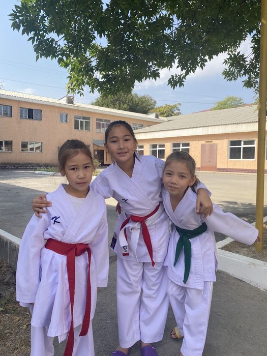 Каратэ карате