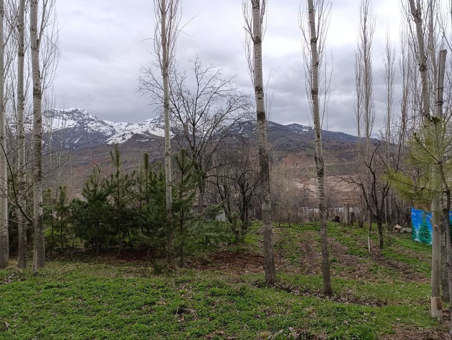 Dacha qurish uchun qulay joyda yer sotiladi