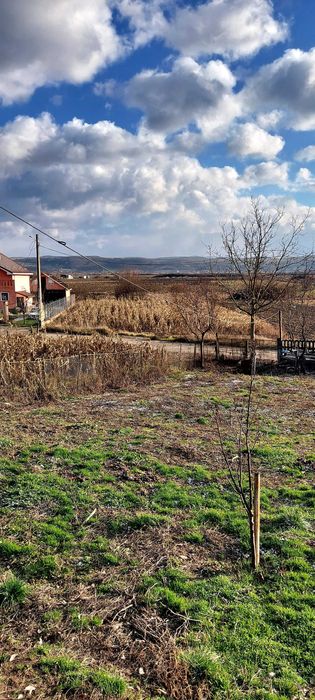 Vând teren intravilan in Cuzdrioara,750 mp