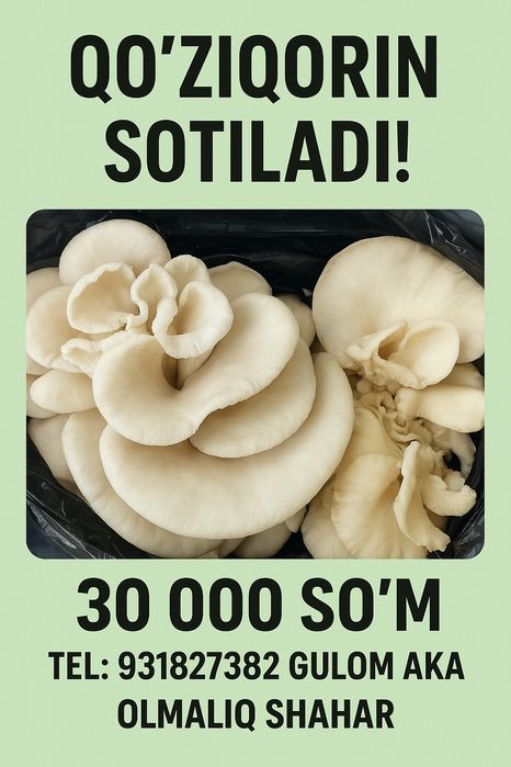 Кузикорин сотилади