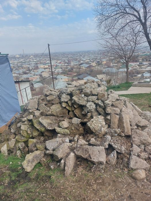 Блужник камен.   .