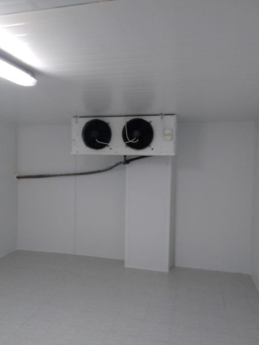 Аренда контейнера морозильника