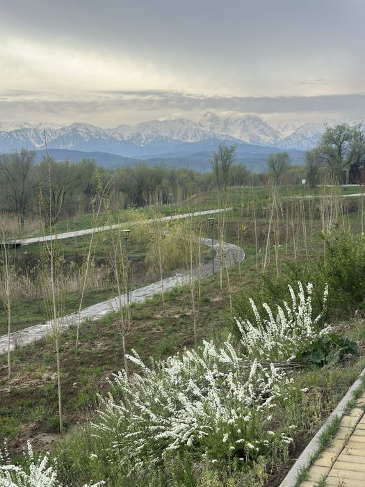 Приму чернозем бесплатно.
