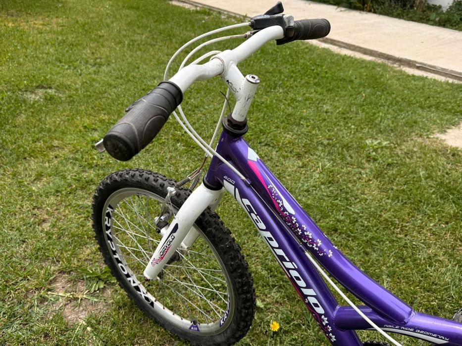 Bicicleta de copii