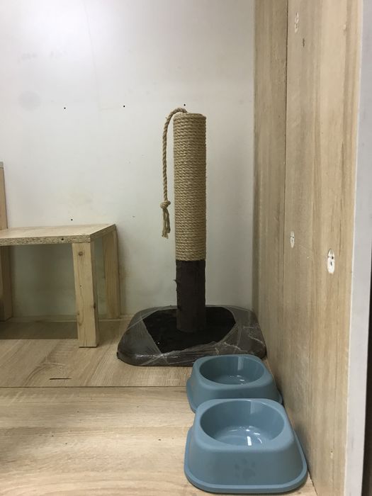 Передершка жыводных