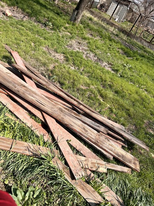 Дровы, стропилы, елки