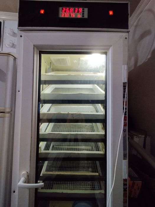 Инкубатор сотилади срочна ишлаши яхши