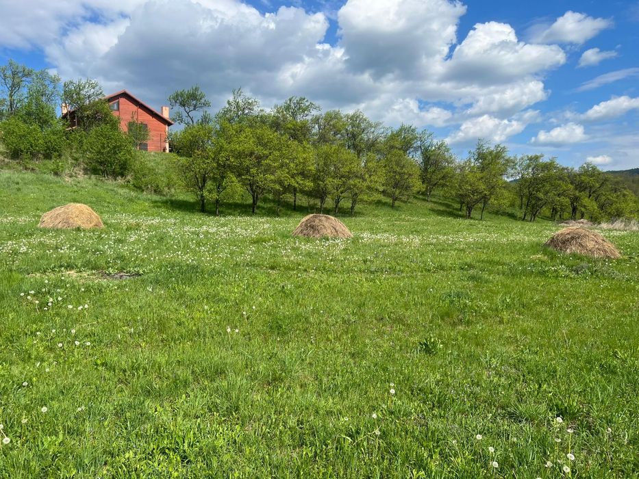 Teren Drajna Prahova