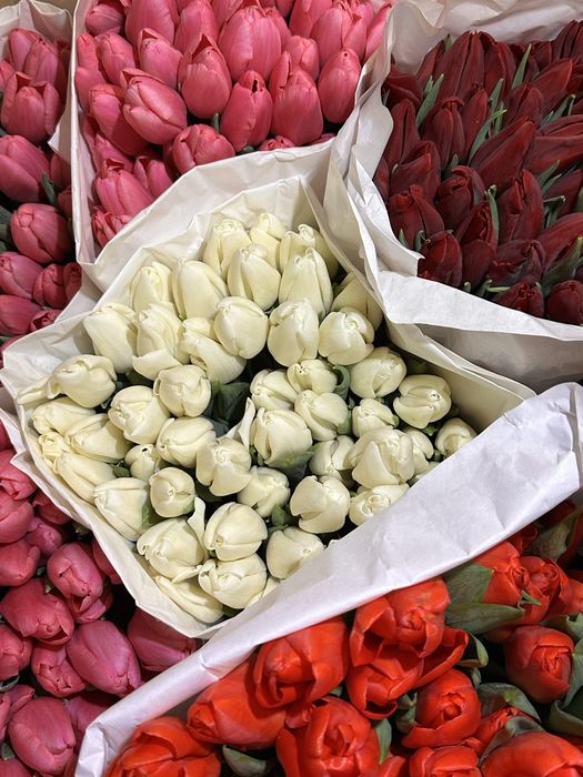 Тюльпаны к 8 марта