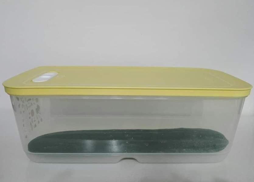 Вентсмарт 6.1 литра  Tupperware