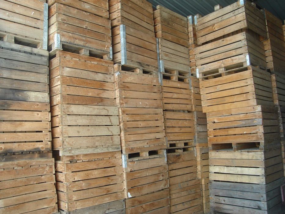 boxpaleti din lemn